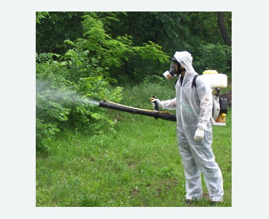 обработка дачи от клещей обработка территории от клещей в Городовиковске