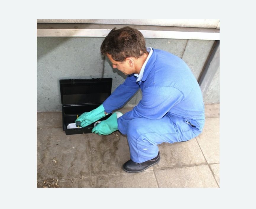 Уничтожение мышей в Городовиковске Уничтожение мышей