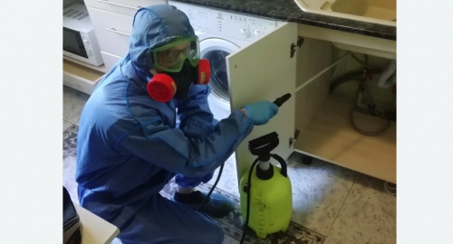 Уничтожение муравьев в квартире. Городовиковск