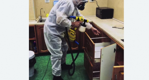 Уничтожение насекомых в квартире. Городовиковск