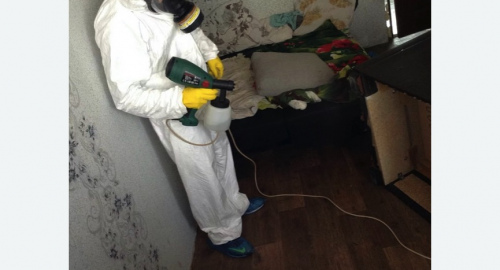 Обработка квартир от насекомых в Городовиковске