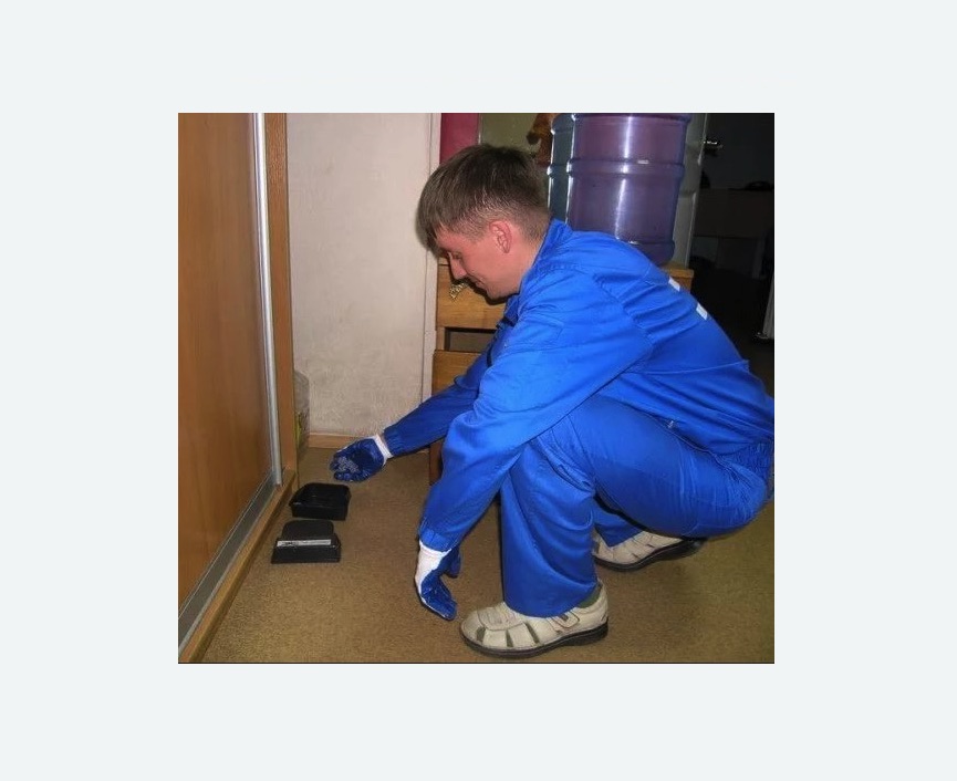 Дератизация крыс в Городовиковске