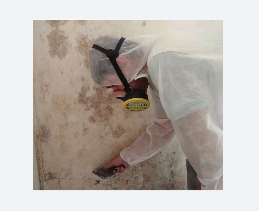 Обработка стен от плесени Обработка стен от плесени в Городовиковске