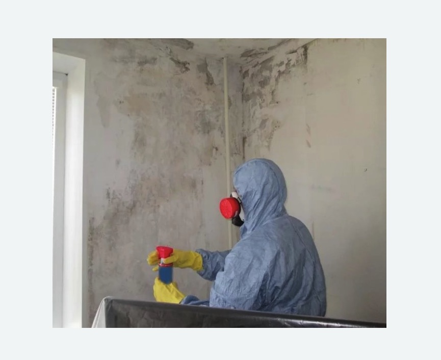 Удаление плесени в квартире Удаление плесени в квартире в Городовиковске