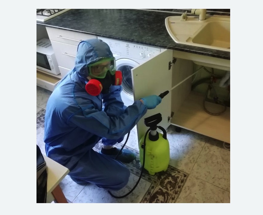 обработка от муравьев в квартире в Городовиковске