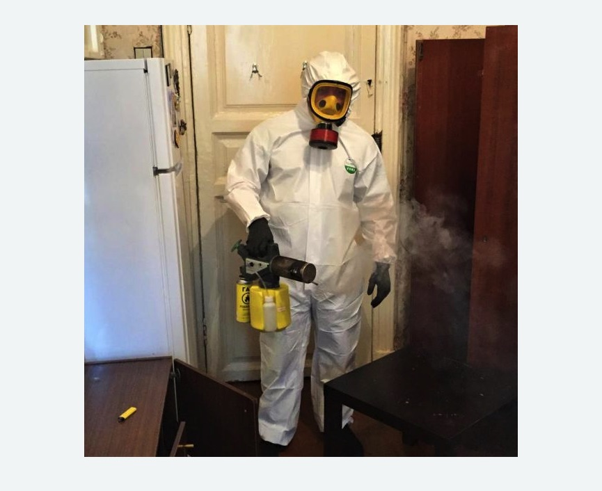 уничтожение муравьев в квартире в Городовиковске